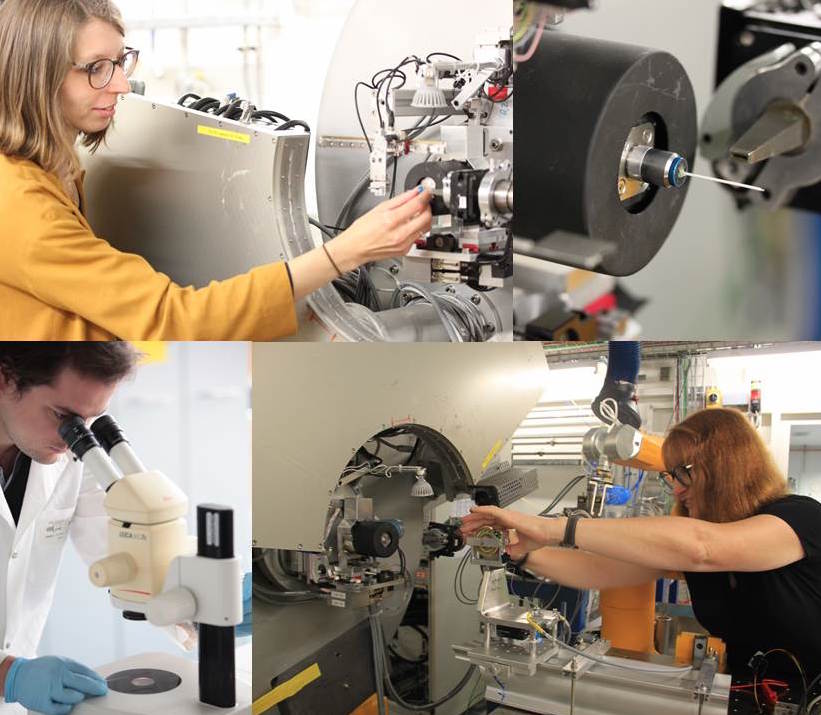 Let Excelsus' team of experienced synchrotron scientists help you with your compound characterization.